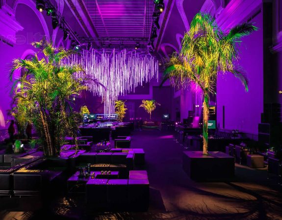 végétaux naturels palmiers soirée aftershow