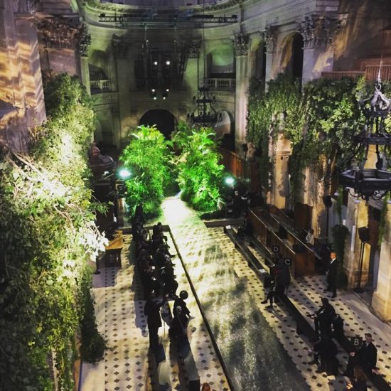 Murs végétalisés et fresque végétale exotique